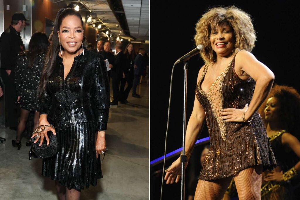 Oprah Wears Valentino to 2024 Grammys in Tribute to Tina Turner